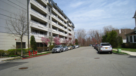 Enlarge photo 30
