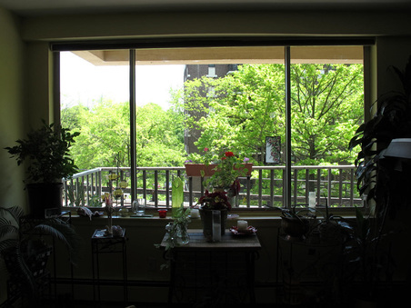 Enlarge photo 22