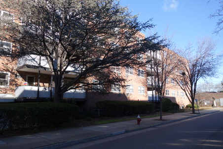 Enlarge photo 6