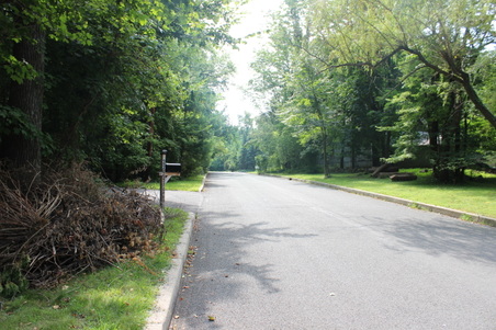 Enlarge photo 29