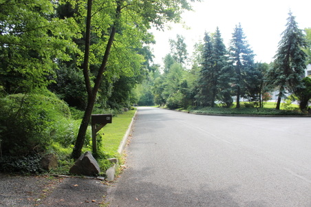 Enlarge photo 31