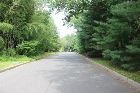 Enlarge photo 33