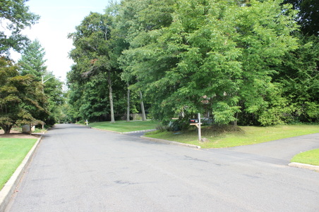 Enlarge photo 36