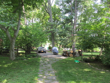 Enlarge photo 6