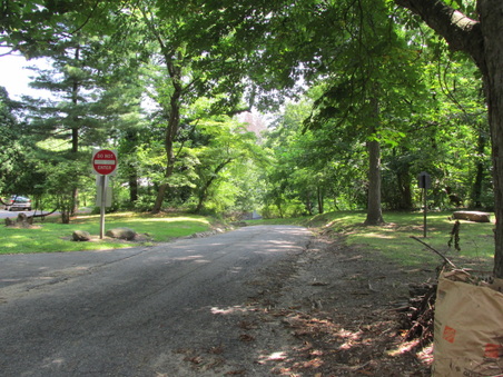 Enlarge photo 4
