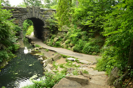 Central Park Jogging 
