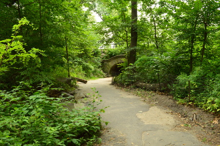 Springbank Arch