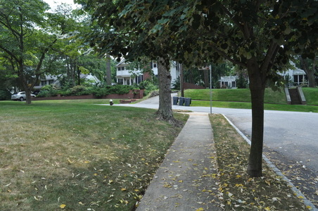 Enlarge photo 43