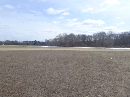 Enlarge photo 3