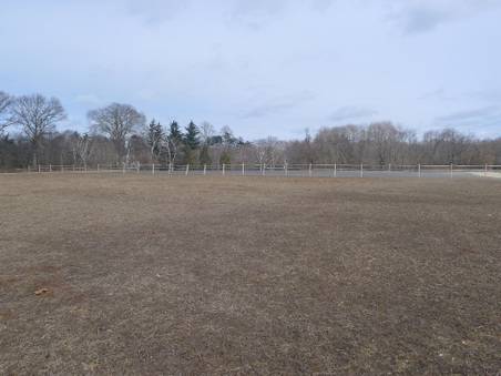 Enlarge photo 6