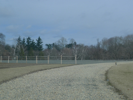 Enlarge photo 13