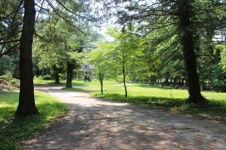 Enlarge photo 17
