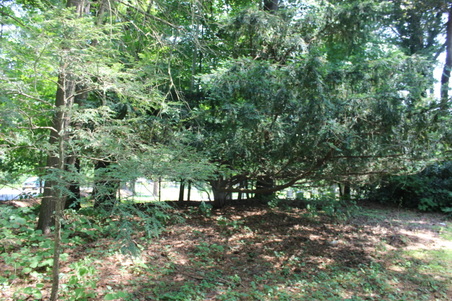 Enlarge photo 15