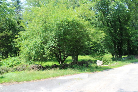 Enlarge photo 6