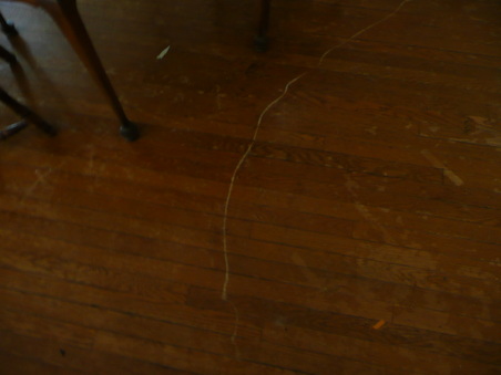 Enlarge photo 13