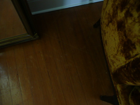 Enlarge photo 2