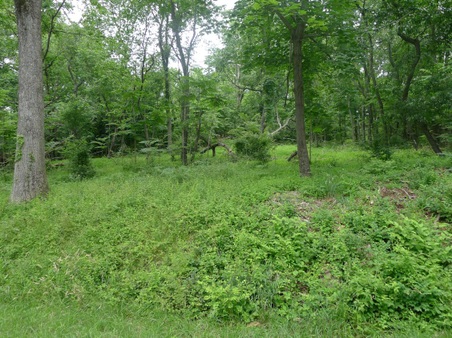 Enlarge photo 4