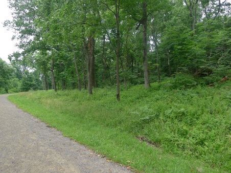 Enlarge photo 6