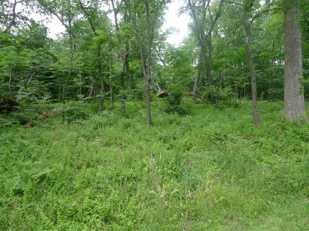 Enlarge photo 7
