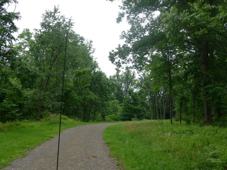 Enlarge photo 9