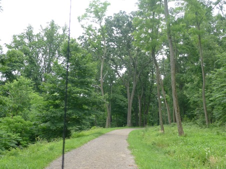 Enlarge photo 11