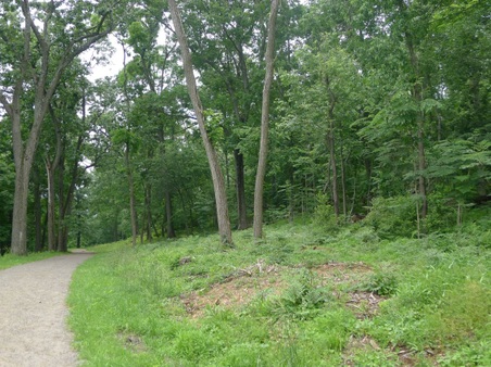 Enlarge photo 12
