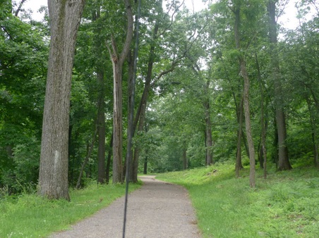 Enlarge photo 13