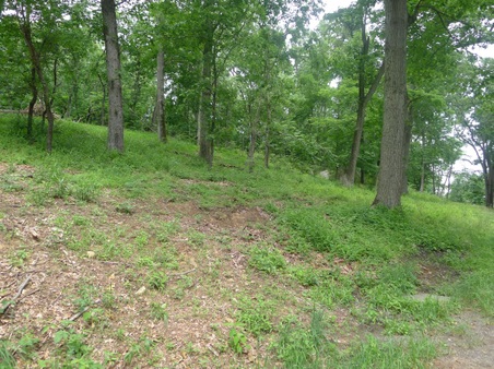 Enlarge photo 16