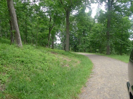 Enlarge photo 17