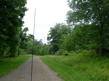 Enlarge photo 20