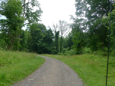 Enlarge photo 23