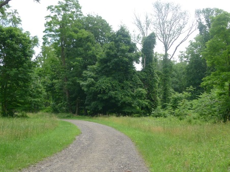 Enlarge photo 25