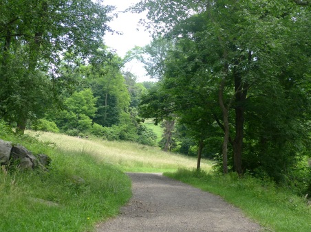 Enlarge photo 27