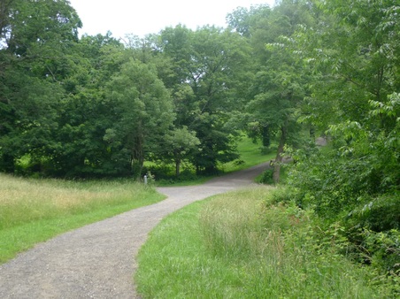 Enlarge photo 29