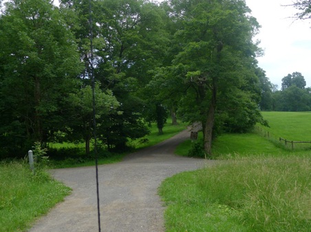 Enlarge photo 30