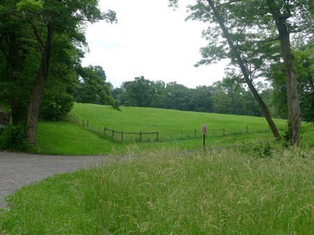 Enlarge photo 31
