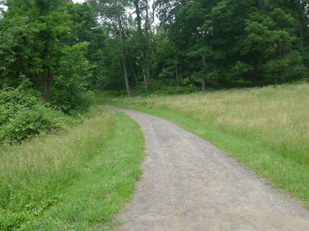 Enlarge photo 32