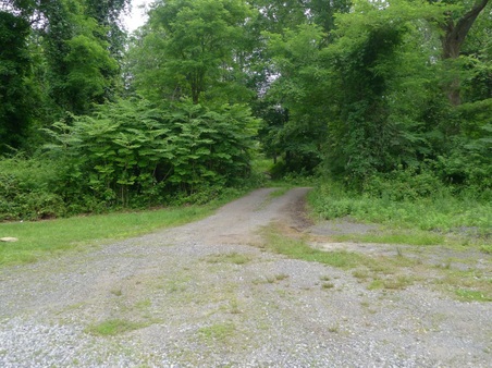 Enlarge photo 42