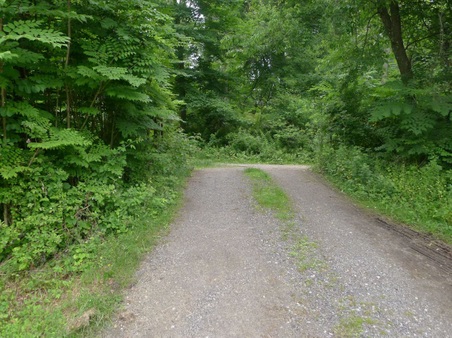 Enlarge photo 43