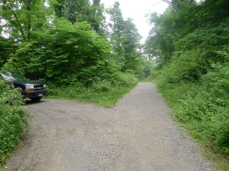 Enlarge photo 45