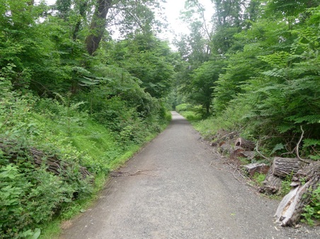 Enlarge photo 46