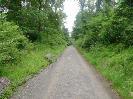 Enlarge photo 47