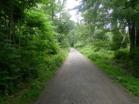 Enlarge photo 48