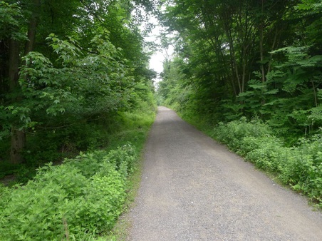 Enlarge photo 49