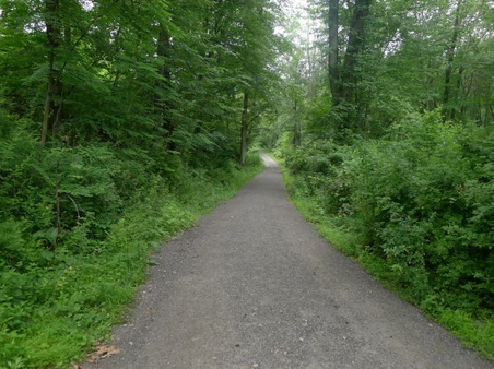 Enlarge photo 51