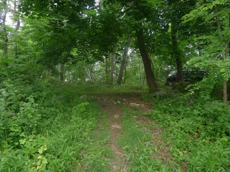 Enlarge photo 55