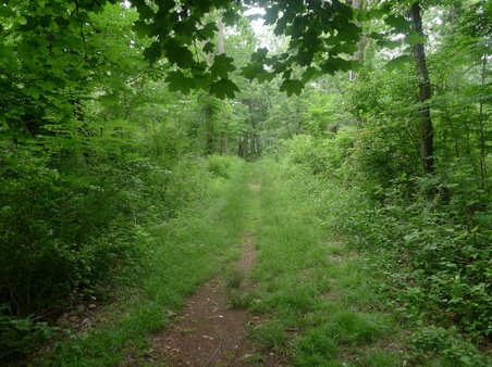 Enlarge photo 57