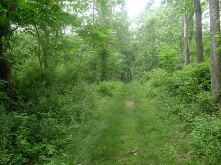 Enlarge photo 58