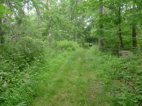 Enlarge photo 61