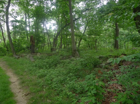 Enlarge photo 69